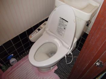 170120-toilet-tsama-before02.JPG